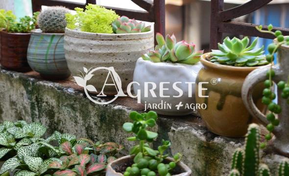 ARTICULOS DE JARDIN